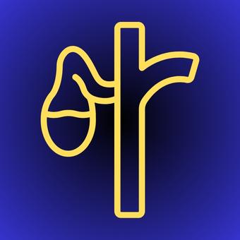 Houston Surgical Error Lawyer