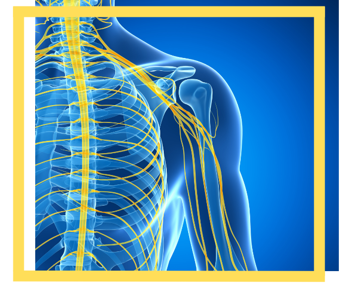 Houston Brachial Plexus Injury Lawyer