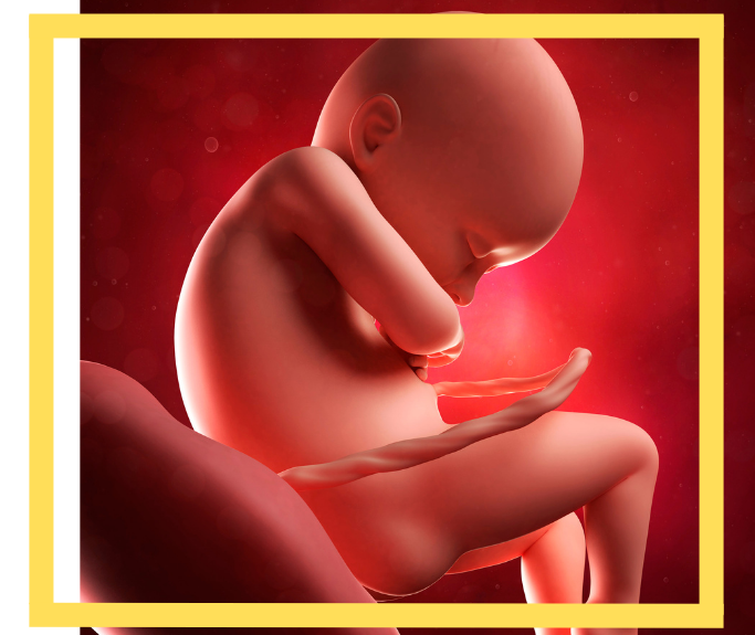Umbilical Cord Compression Attorney in Houston, TX